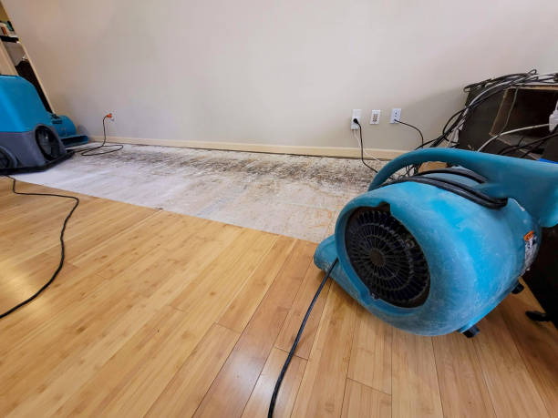Professional Water Damage Repair technician working in Bloomingdale, FL